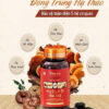 Đông Trùng Hạ Thảo Hoa Sao
