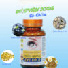Nhãn Quang Eyes Gold